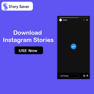 Instagram StorySaver
